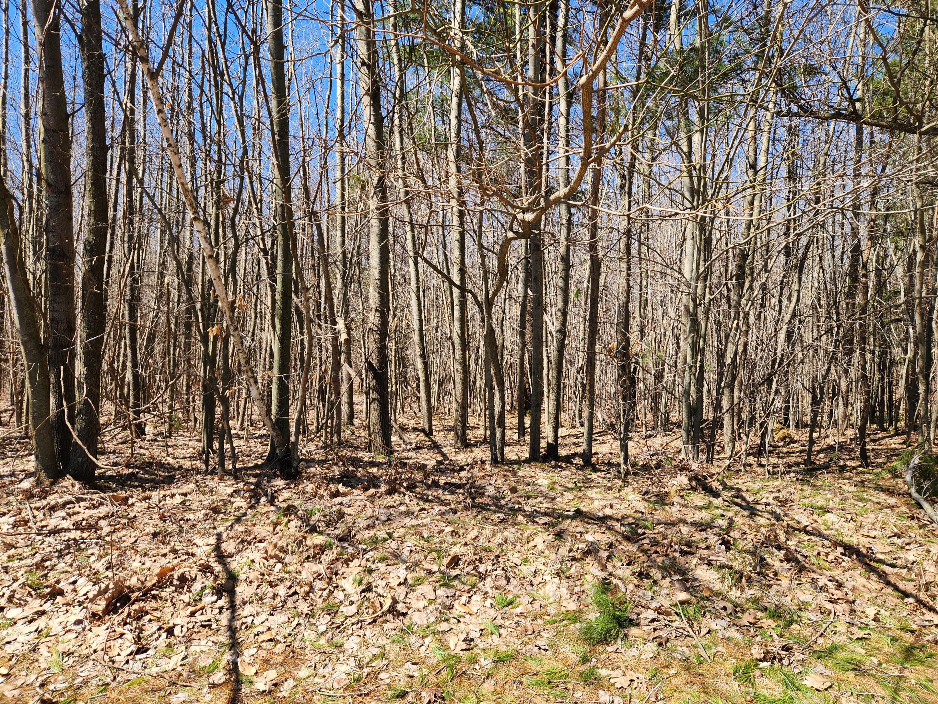 West Starlight Rdg Circle, Unit 62 Onekama, MI 49675 - Photo 1 of 13 20260409_123844