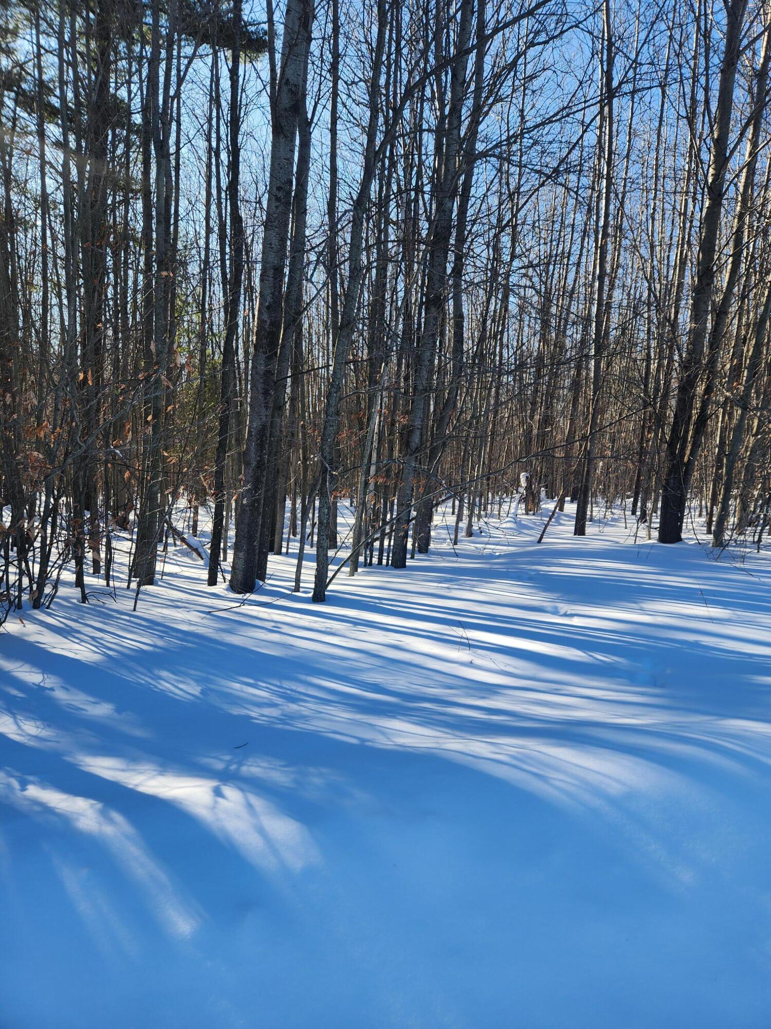 West Starlight Rdg Circle, Unit 62 Onekama, MI 49675 - Photo 1 of 4 20260208_152454