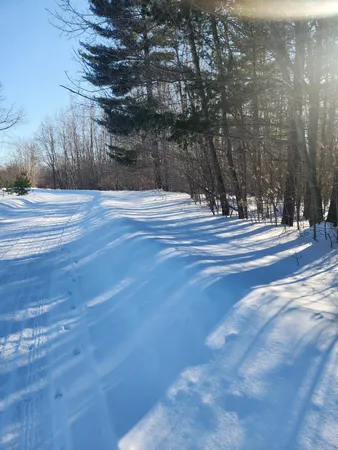 $32,000 | West Starlight Rdg Circle, Unit 62, Onekama, MI 49675