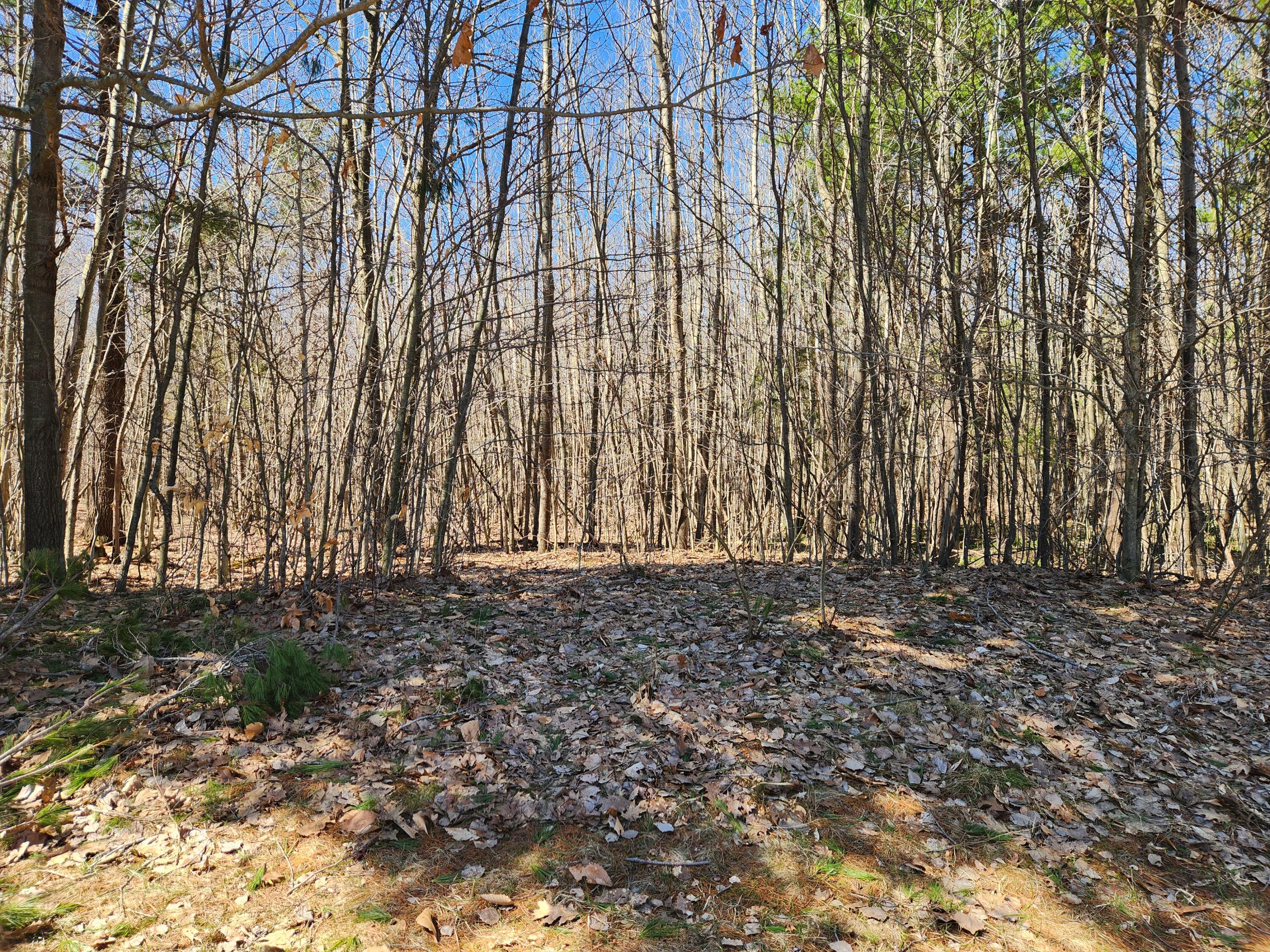 West Starlight Rdg Circle, Unit 62 Onekama, MI 49675 - Photo 3 of 13 20260409_123859
