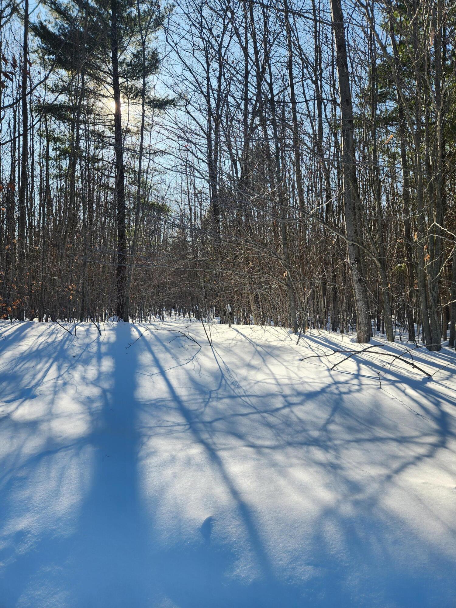 West Starlight Rdg Circle, Unit 62 Onekama, MI 49675 - Photo 4 of 4 20260208_152521