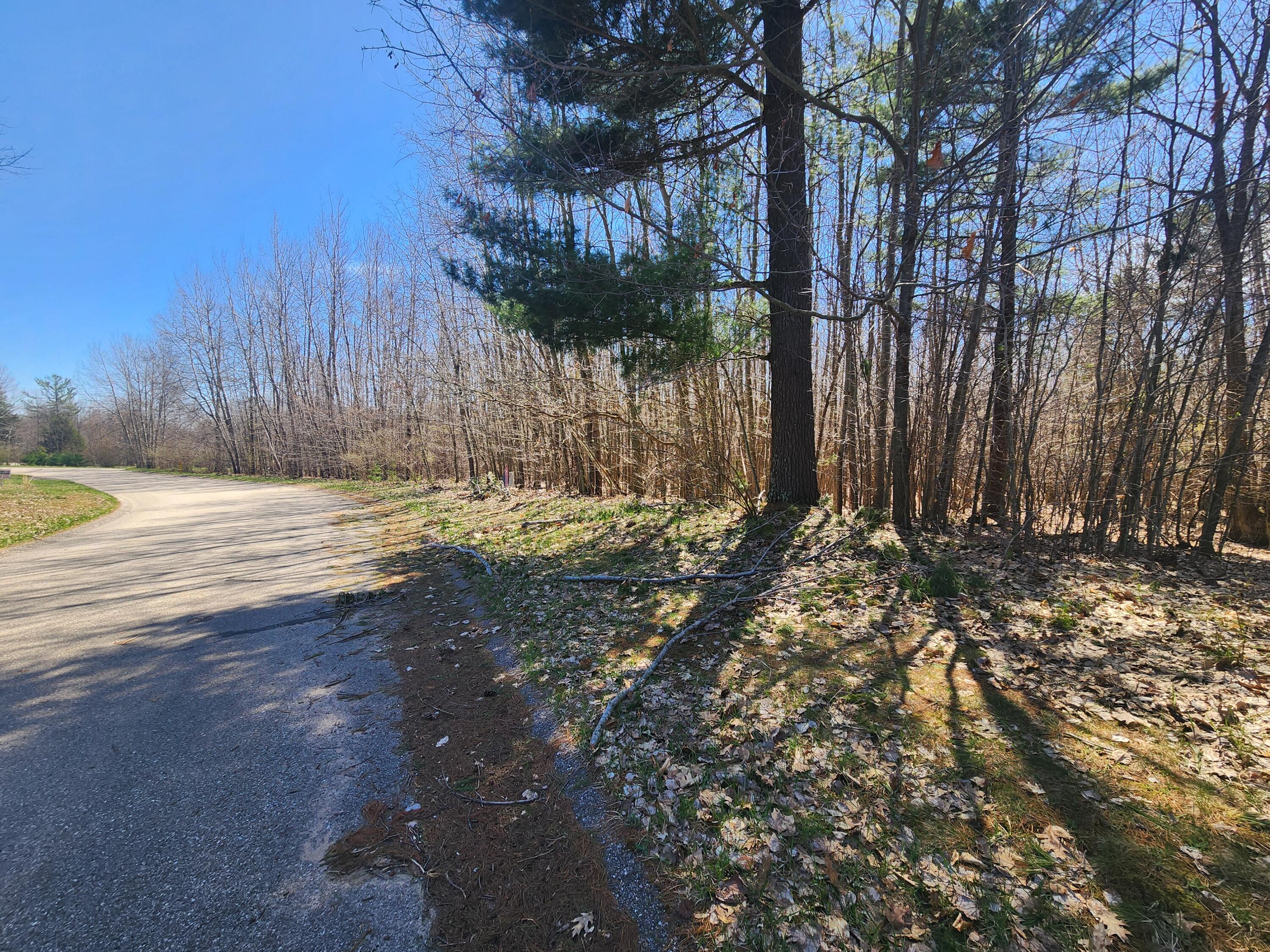 West Starlight Rdg Circle, Unit 62 Onekama, MI 49675 - Photo 9 of 13 20260425_150527