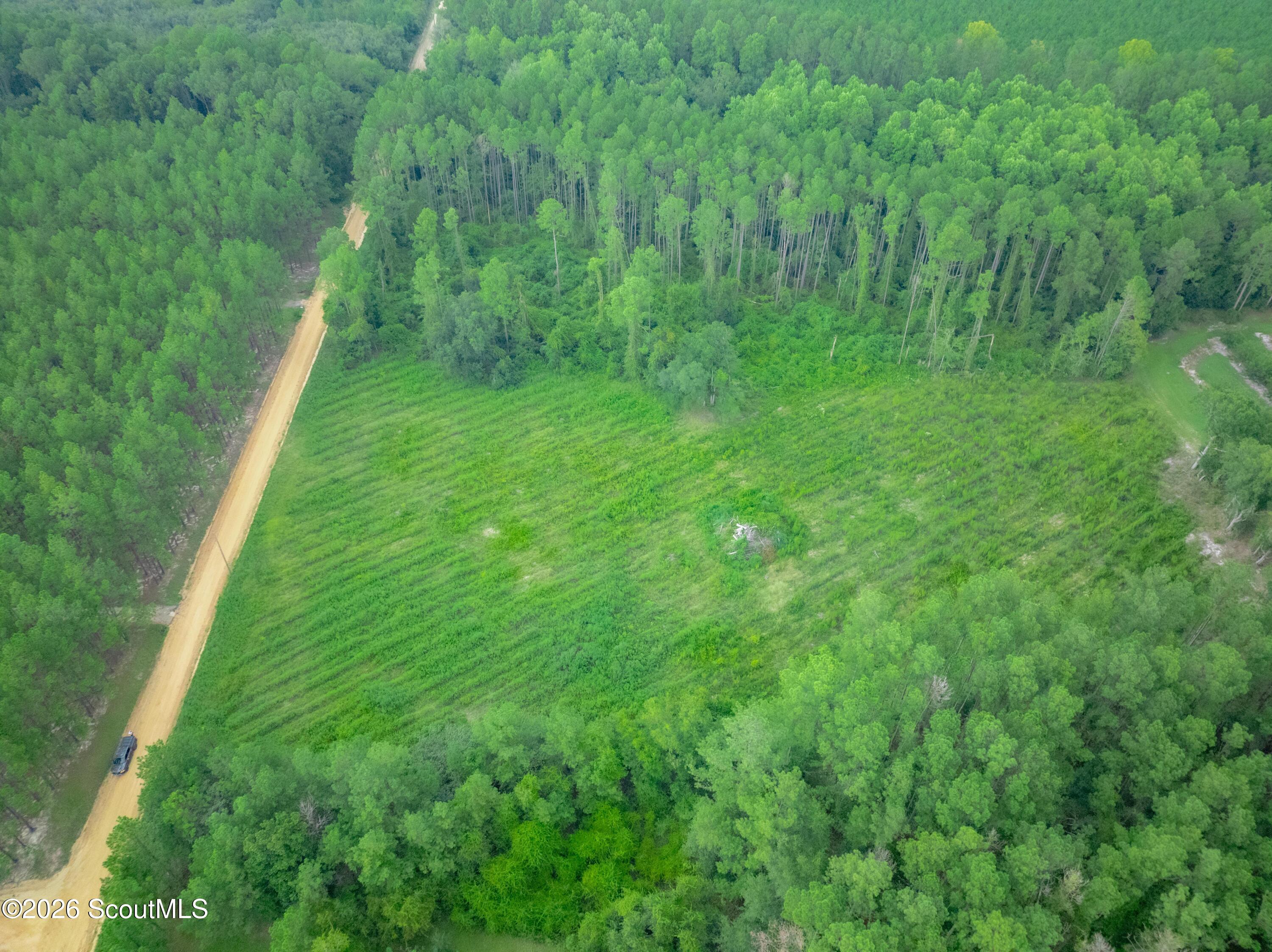 0 Son Thomas Road Patterson, GA 31557 - Photo 9 of 12 DJI_0309-HDR