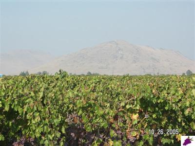 0 Corner Holbrook & Lincoln Reedley Ca Reedley, CA 93654 - Photo 1 of 10 Gallery Image 1