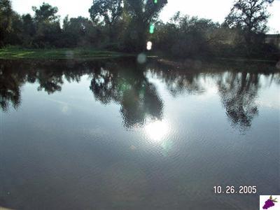 0 Corner Holbrook & Lincoln Reedley Ca Reedley, CA 93654 - Photo 4 of 10 Gallery Image 4