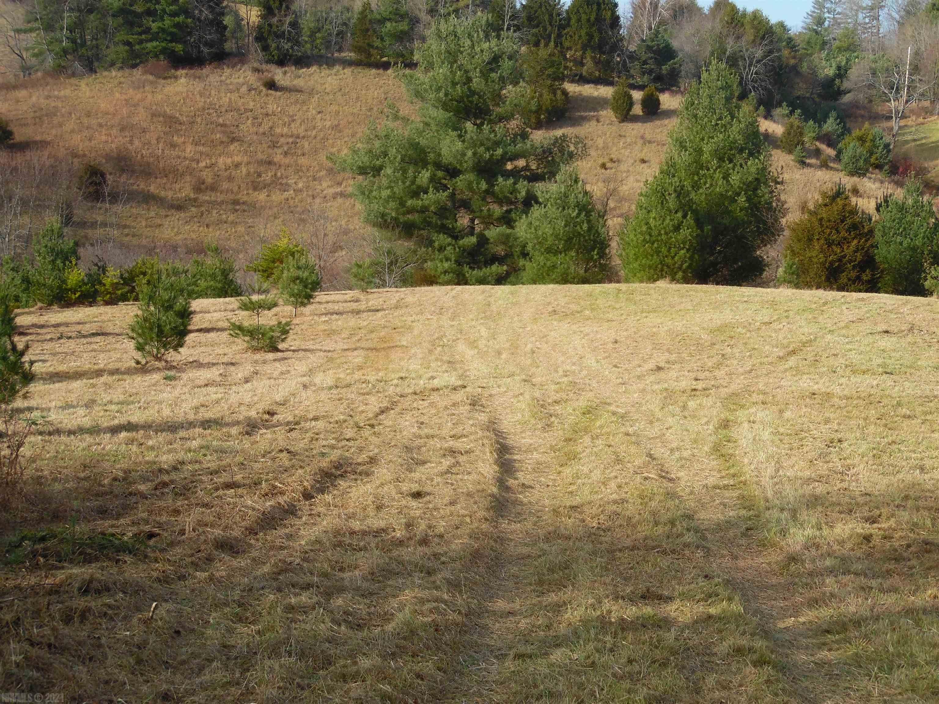Tbd Stonewall Road Northeast Check, VA 24072 - Photo 3 of 35 Gallery Image 3