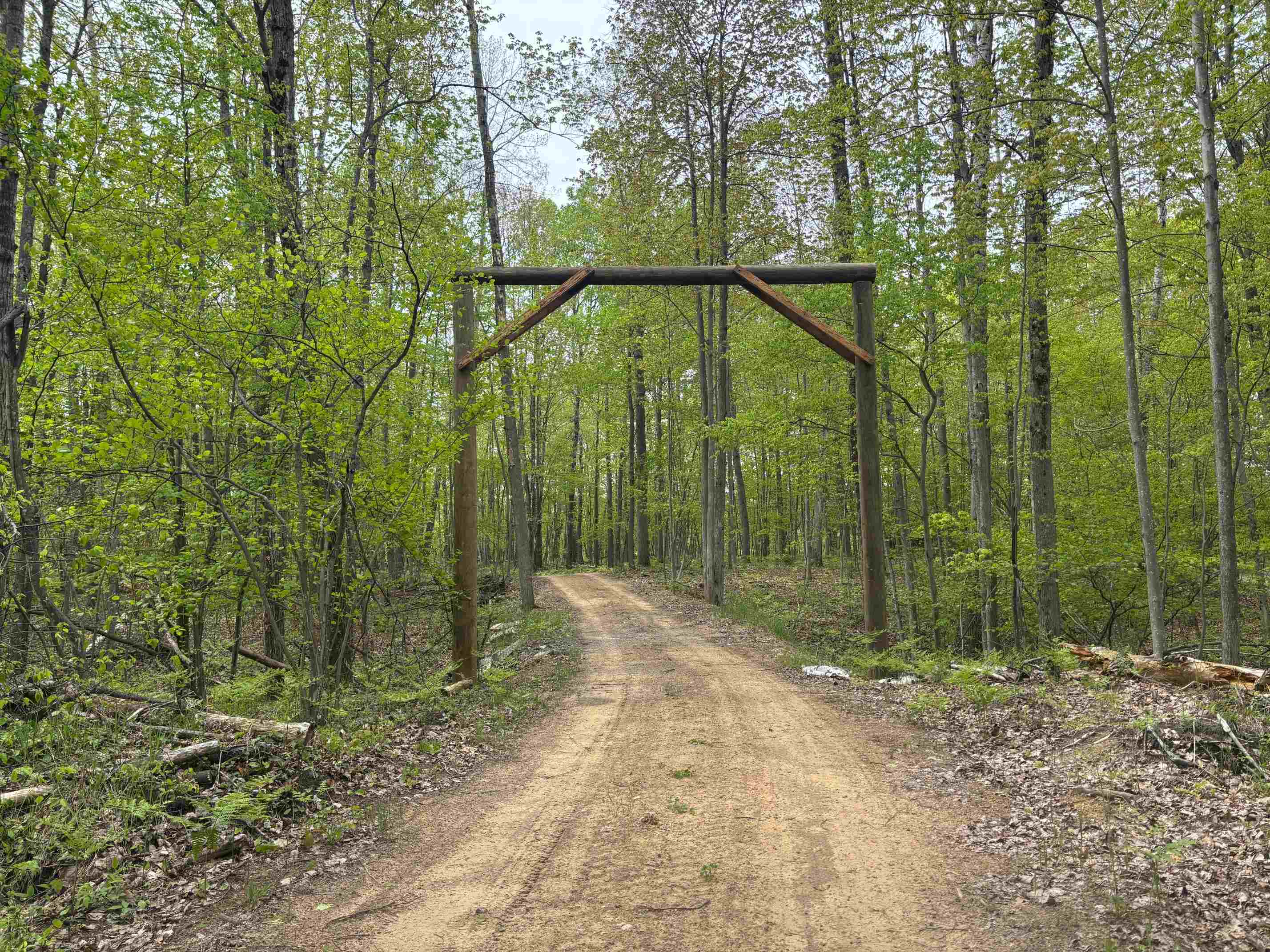 1240 Birch Ridge Road Gladwin, MI 48624 - Photo 2 of 41