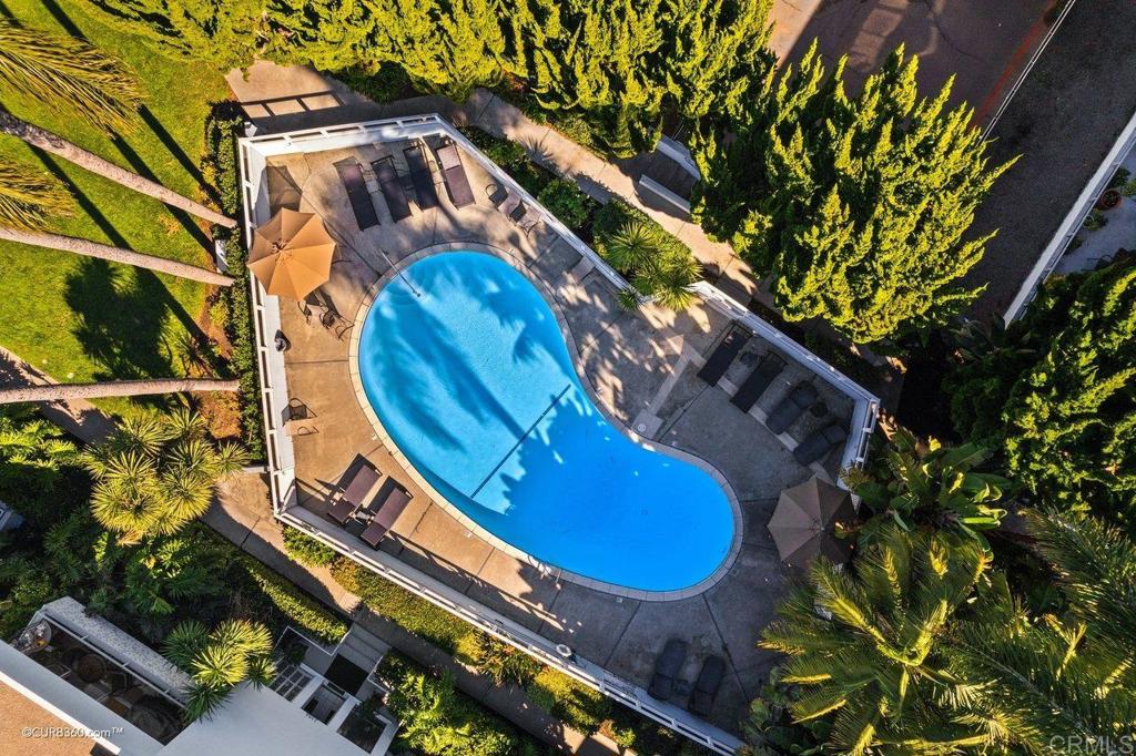 2352 Torrey Pines Road, Unit 1 La Jolla, CA 92037 - Photo 30 of 37 a view of a swimming pool with a yard