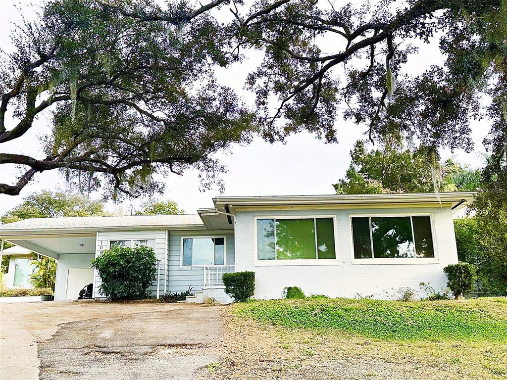 a view of a house with a tree in front of it