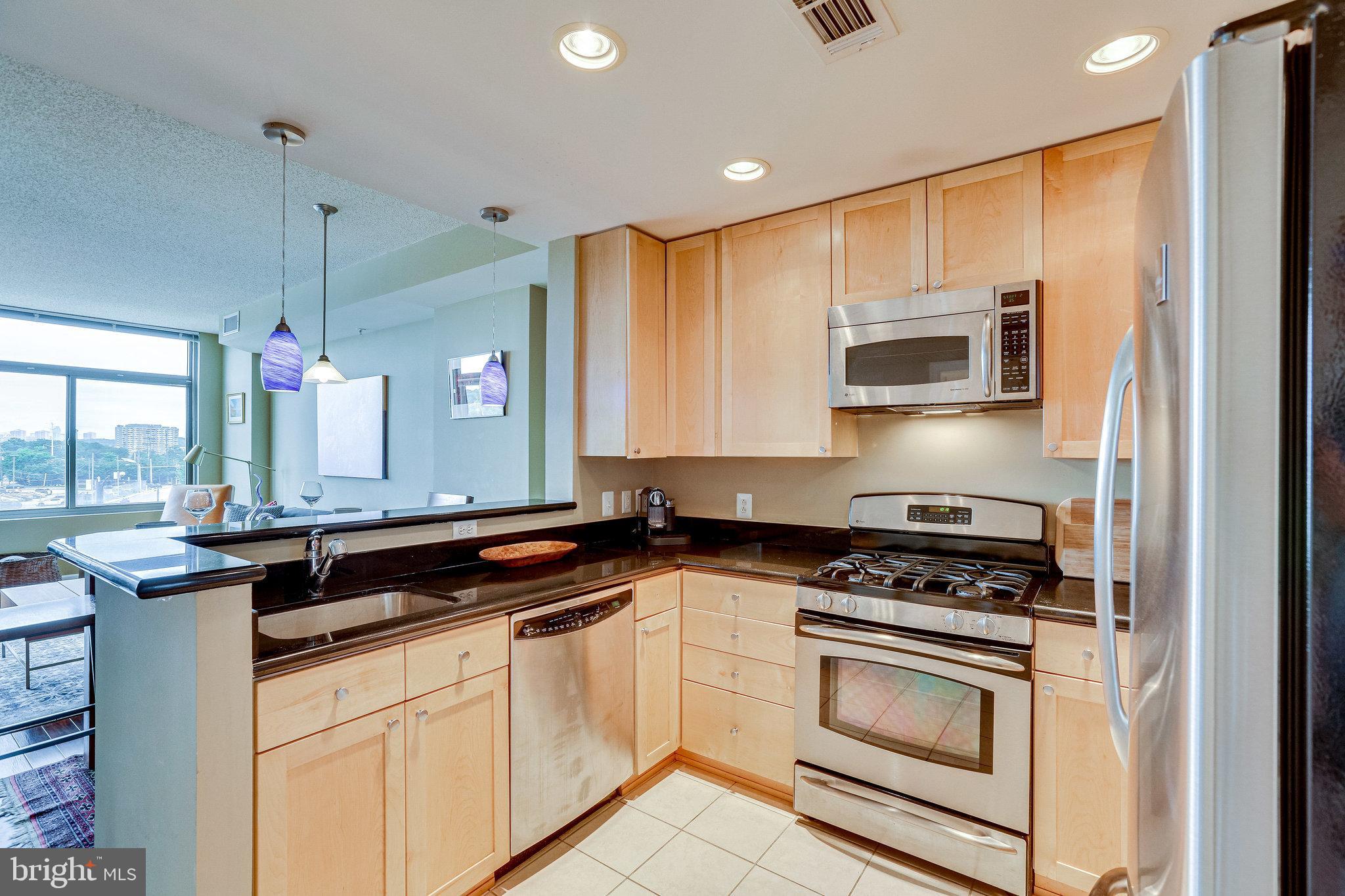 3600 South Glebe Road, Unit 209W Arlington, VA 22202 - Photo 11 of 24