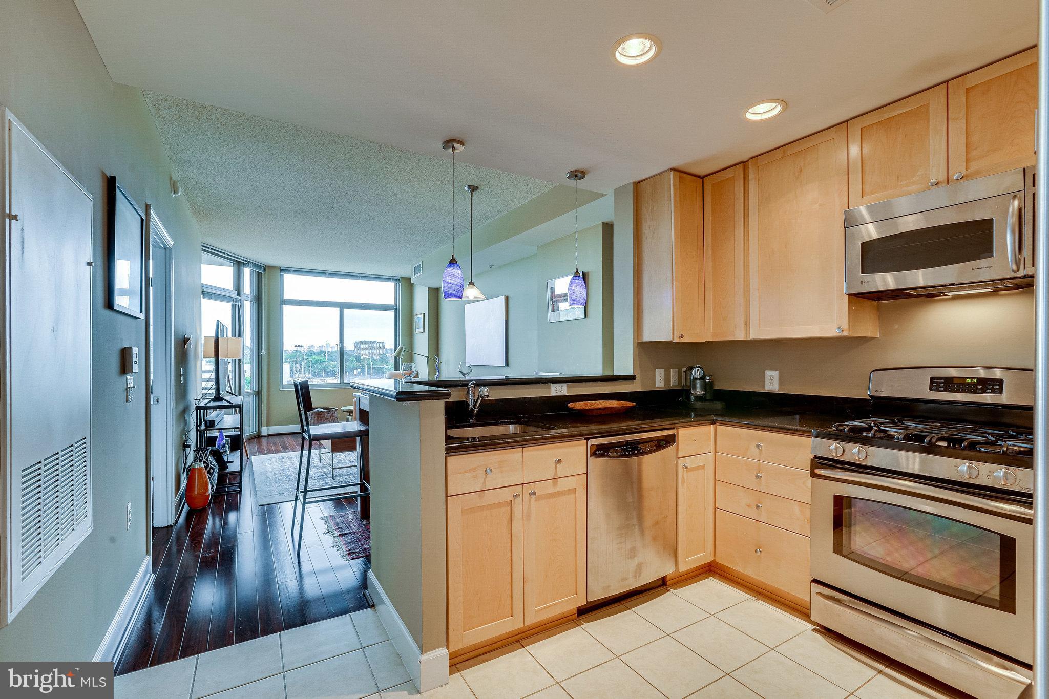 3600 South Glebe Road, Unit 209W Arlington, VA 22202 - Photo 3 of 24