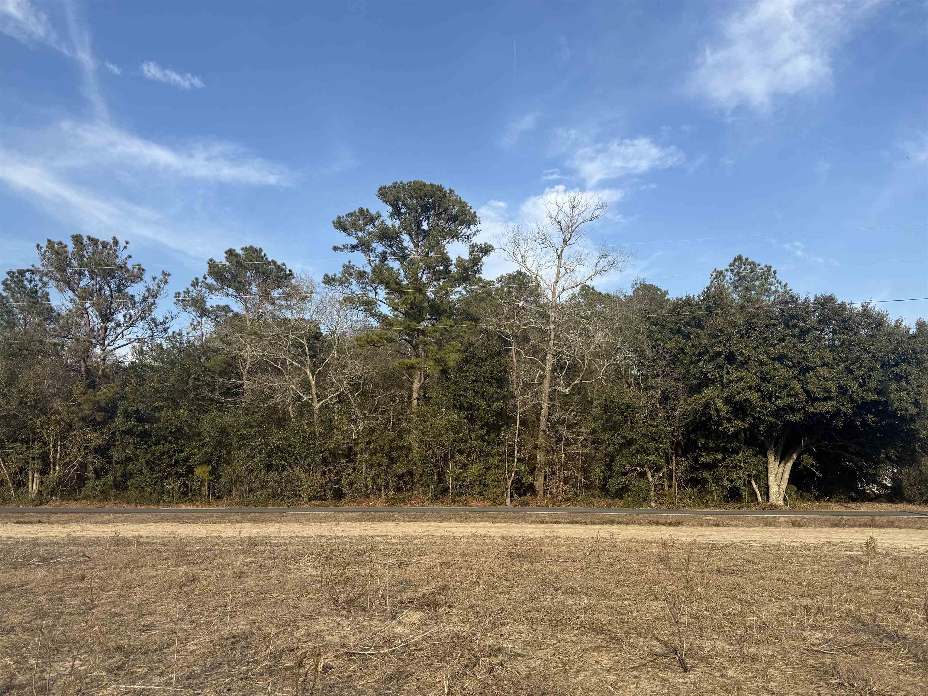 120 Rough Horn Road Evergreen, NC 28438 - Photo 3 of 3