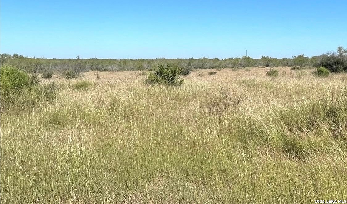 3968 Bluntzer Road Jourdanton, TX 78026 - Photo 17 of 39