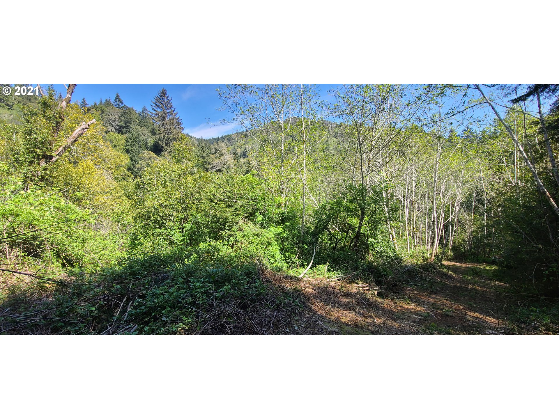 Coy Creek Road, Unit 608 Gold Beach, OR 97444 - Photo 11 of 30 Gallery Image 11
