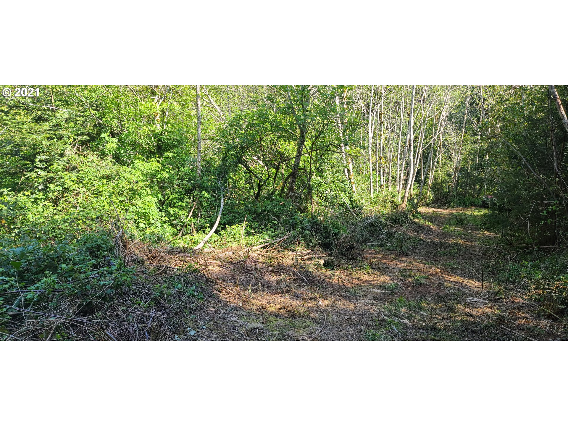 Coy Creek Road, Unit 608 Gold Beach, OR 97444 - Photo 12 of 30 Gallery Image 12