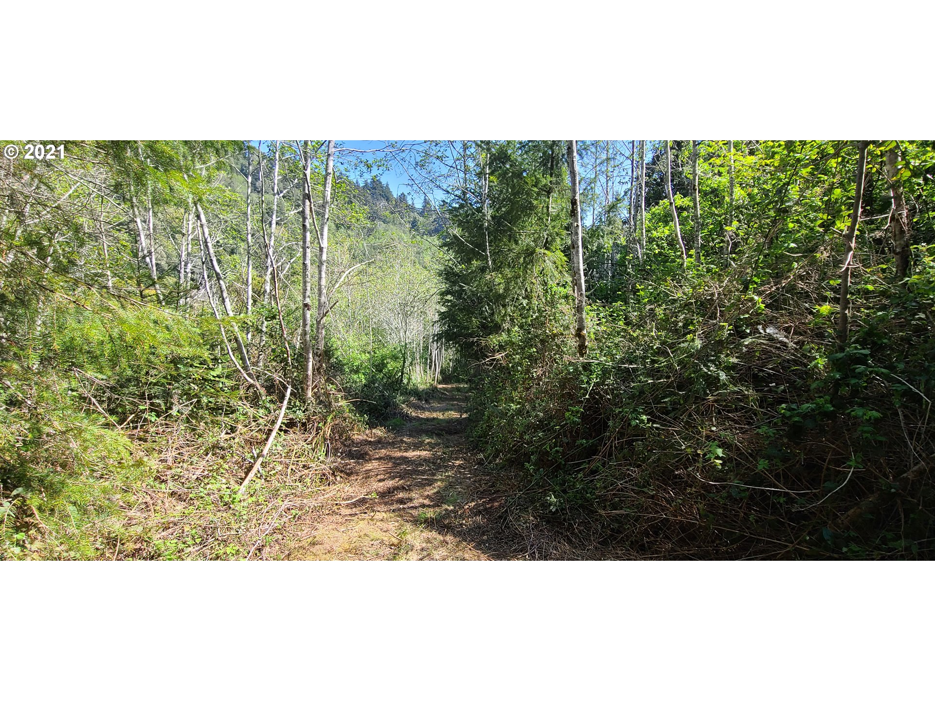 Coy Creek Road, Unit 608 Gold Beach, OR 97444 - Photo 13 of 30 Gallery Image 13