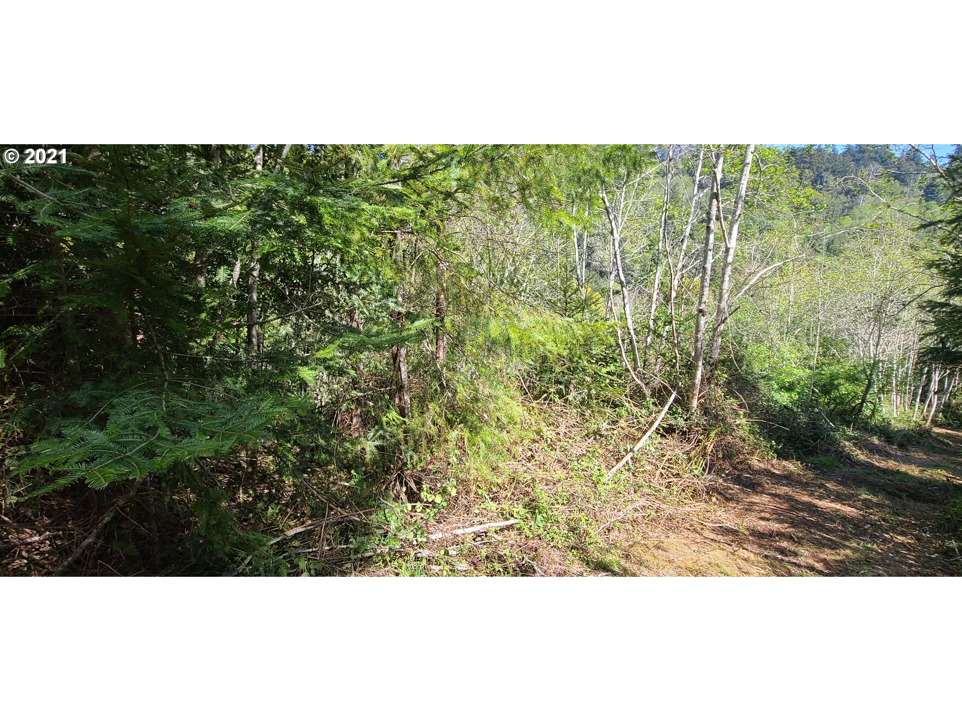 Coy Creek Road, Unit 608 Gold Beach, OR 97444 - Photo 14 of 30 Gallery Image 14