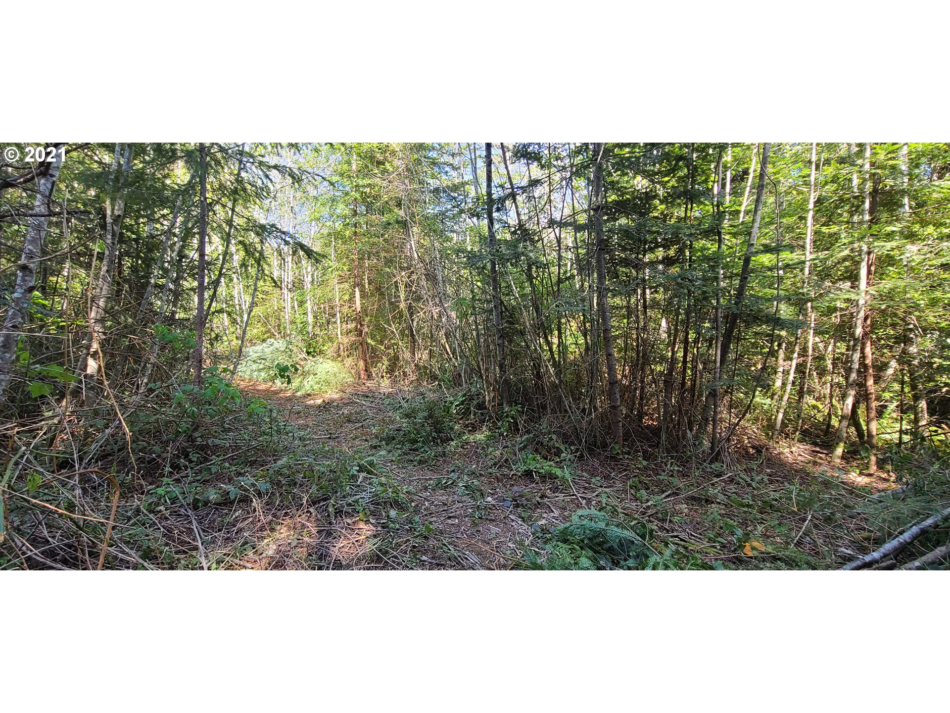 Coy Creek Road, Unit 608 Gold Beach, OR 97444 - Photo 16 of 30 Gallery Image 16