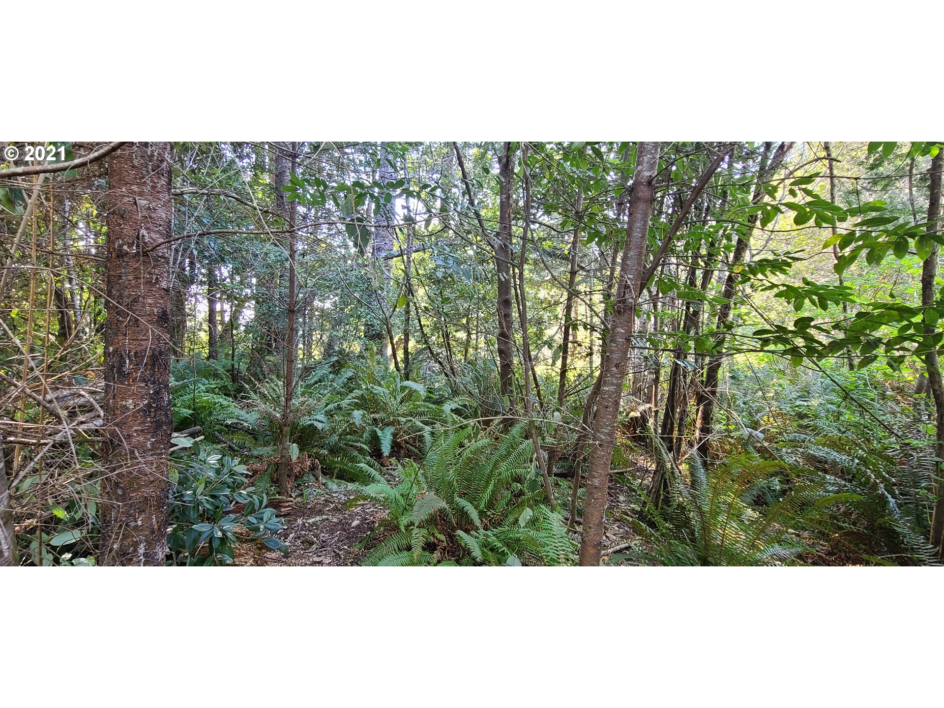 Coy Creek Road, Unit 608 Gold Beach, OR 97444 - Photo 17 of 30 Gallery Image 17
