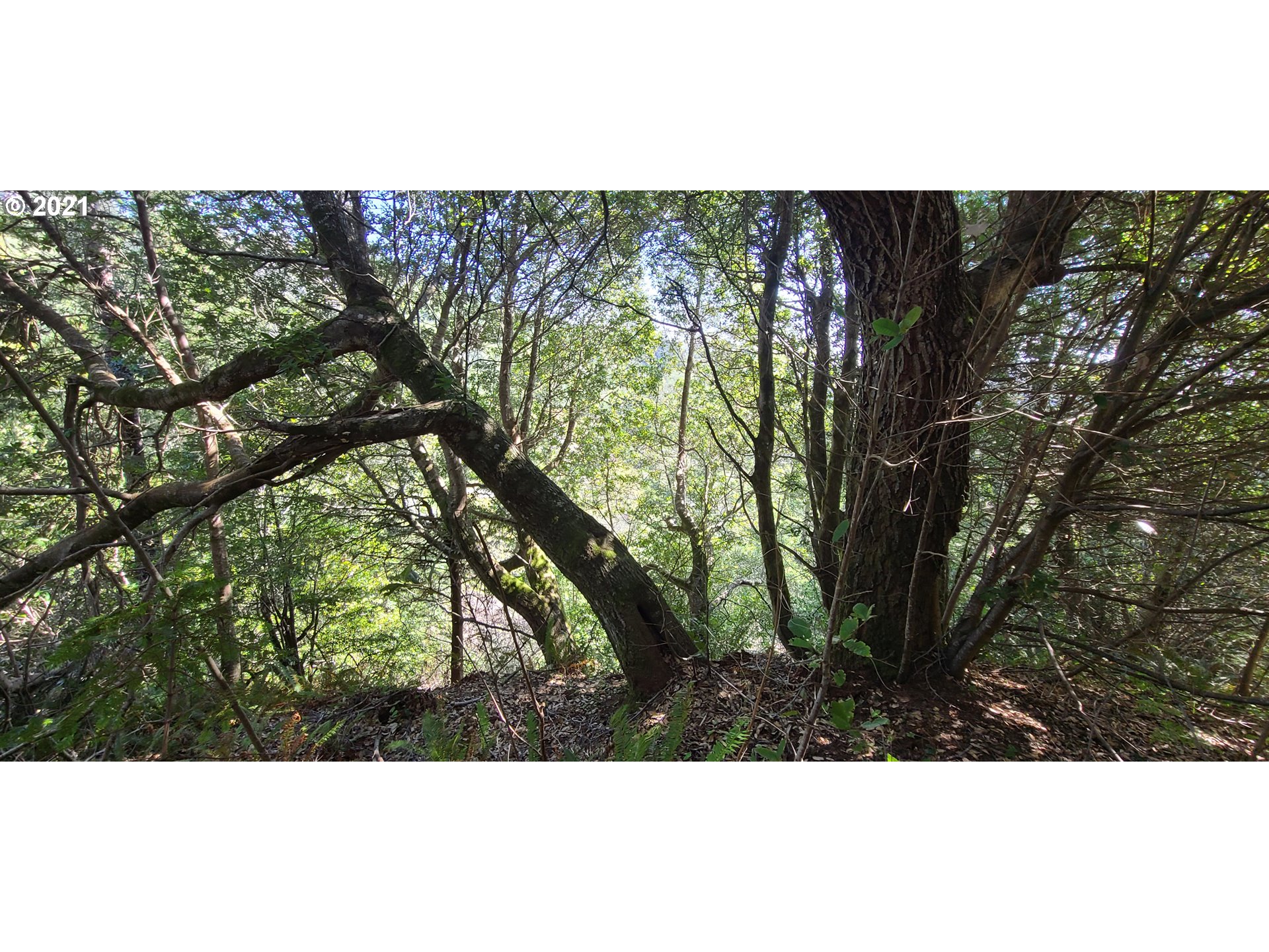 Coy Creek Road, Unit 608 Gold Beach, OR 97444 - Photo 20 of 30 Gallery Image 20