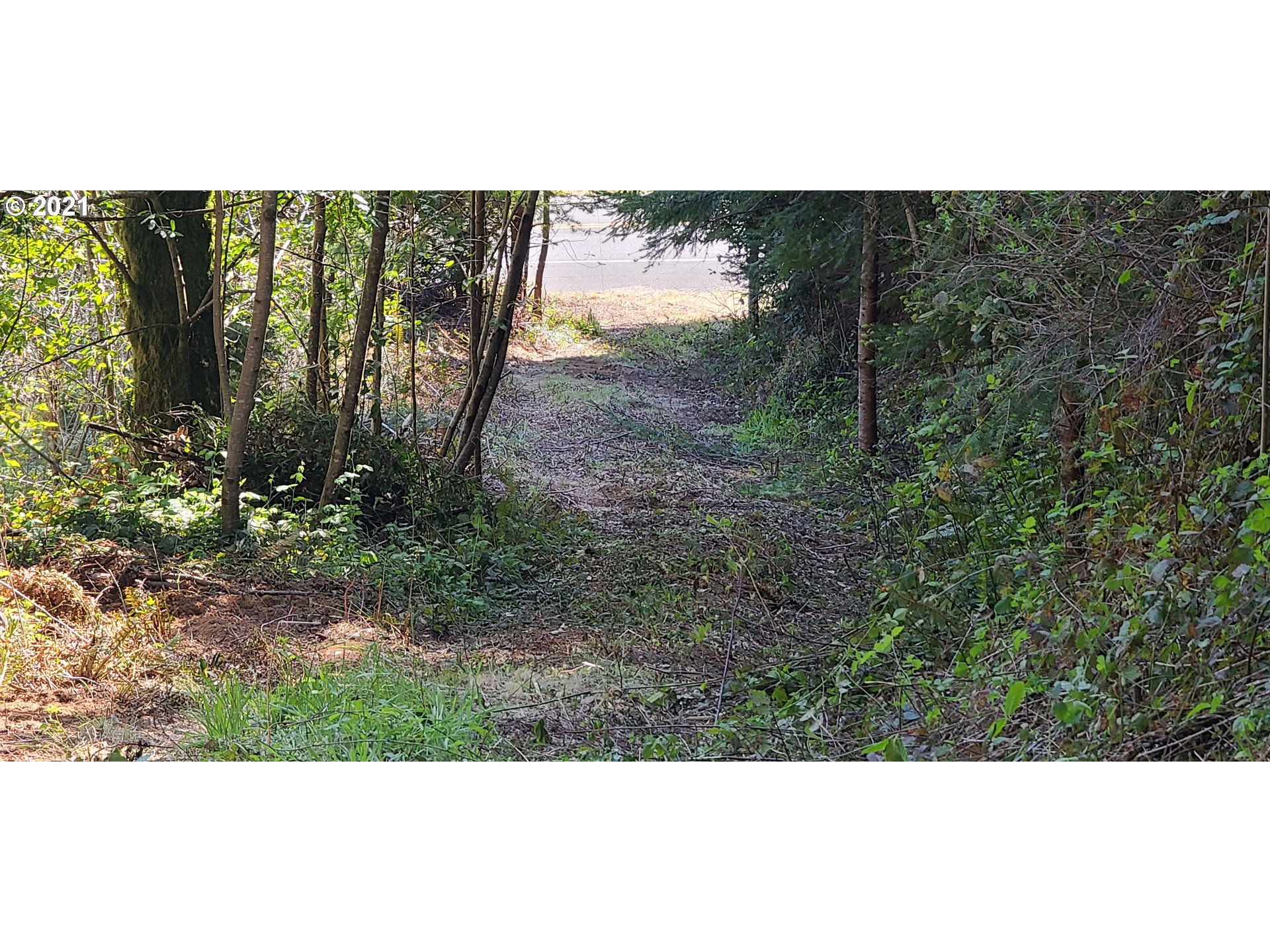 Coy Creek Road, Unit 608 Gold Beach, OR 97444 - Photo 3 of 30 Gallery Image 3