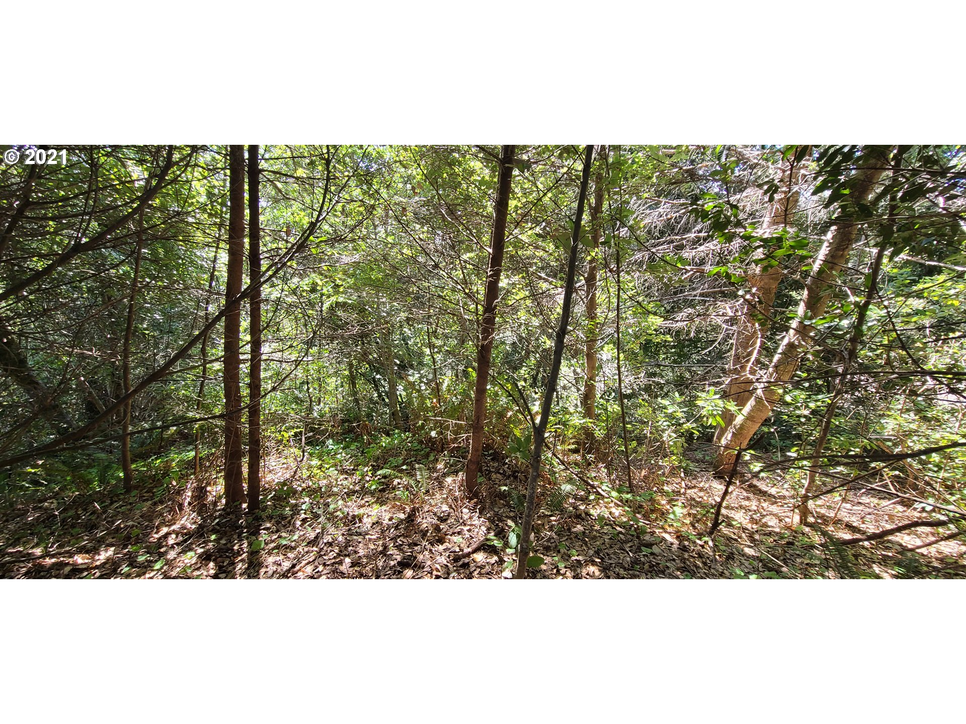 Coy Creek Road, Unit 608 Gold Beach, OR 97444 - Photo 21 of 30 Gallery Image 21