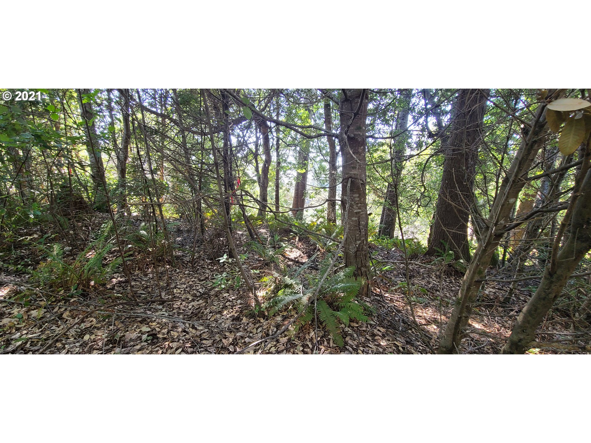 Coy Creek Road, Unit 608 Gold Beach, OR 97444 - Photo 22 of 30 Gallery Image 22