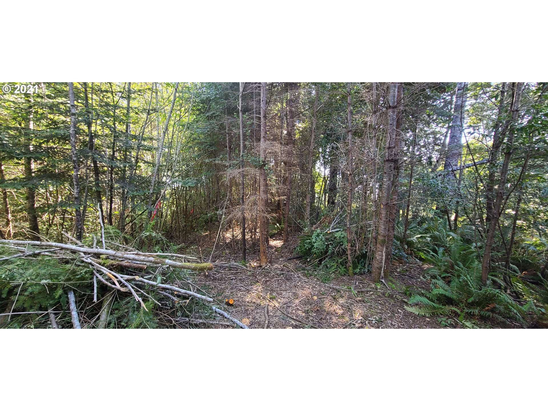 Coy Creek Road, Unit 608 Gold Beach, OR 97444 - Photo 23 of 30 Gallery Image 23