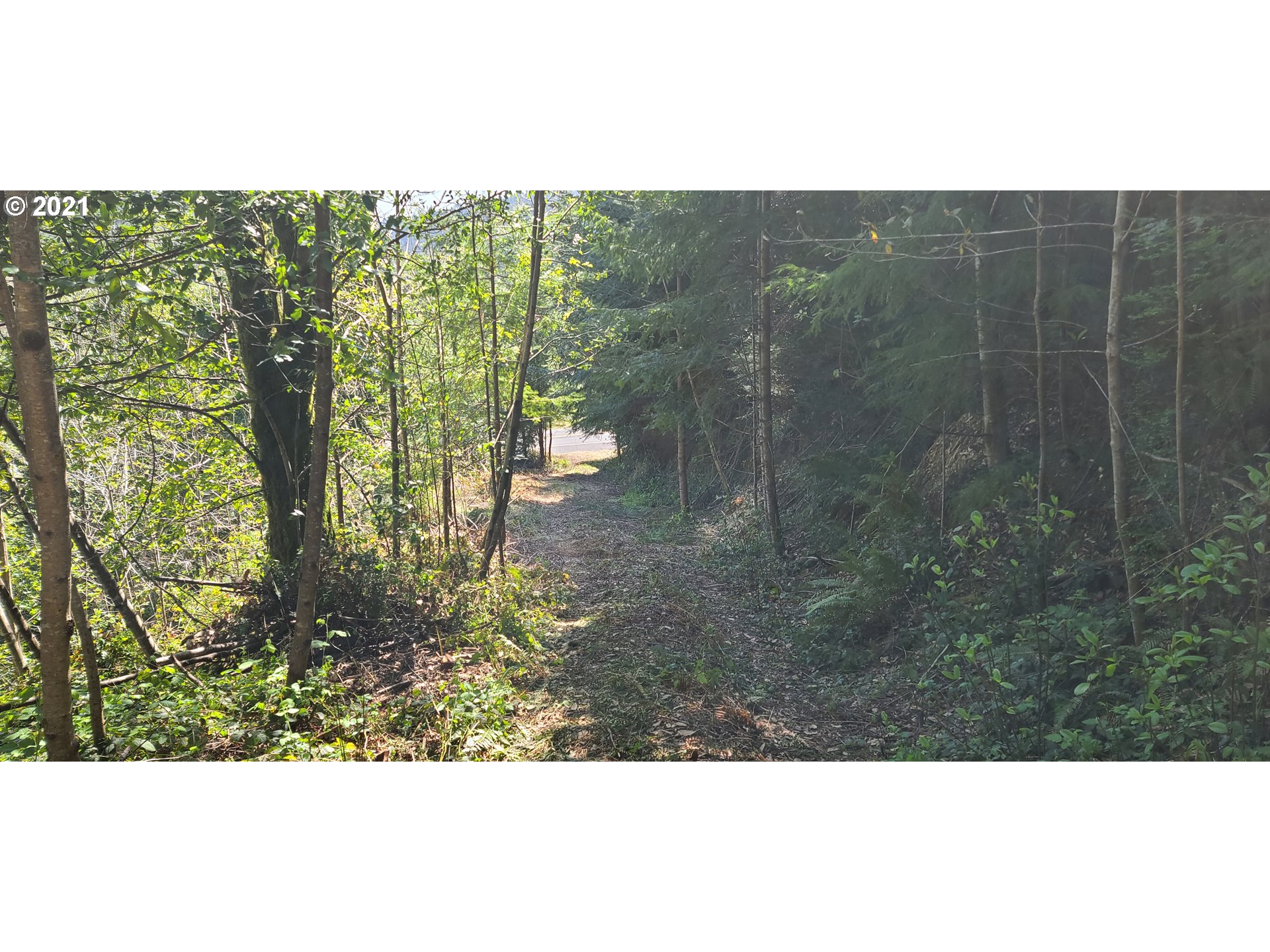Coy Creek Road, Unit 608 Gold Beach, OR 97444 - Photo 5 of 30 Gallery Image 5