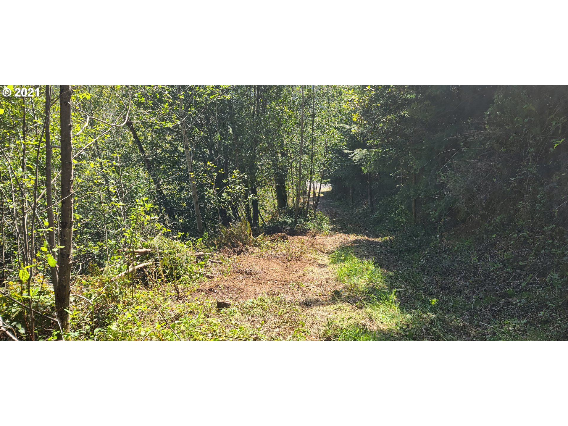 Coy Creek Road, Unit 608 Gold Beach, OR 97444 - Photo 6 of 30 Gallery Image 6