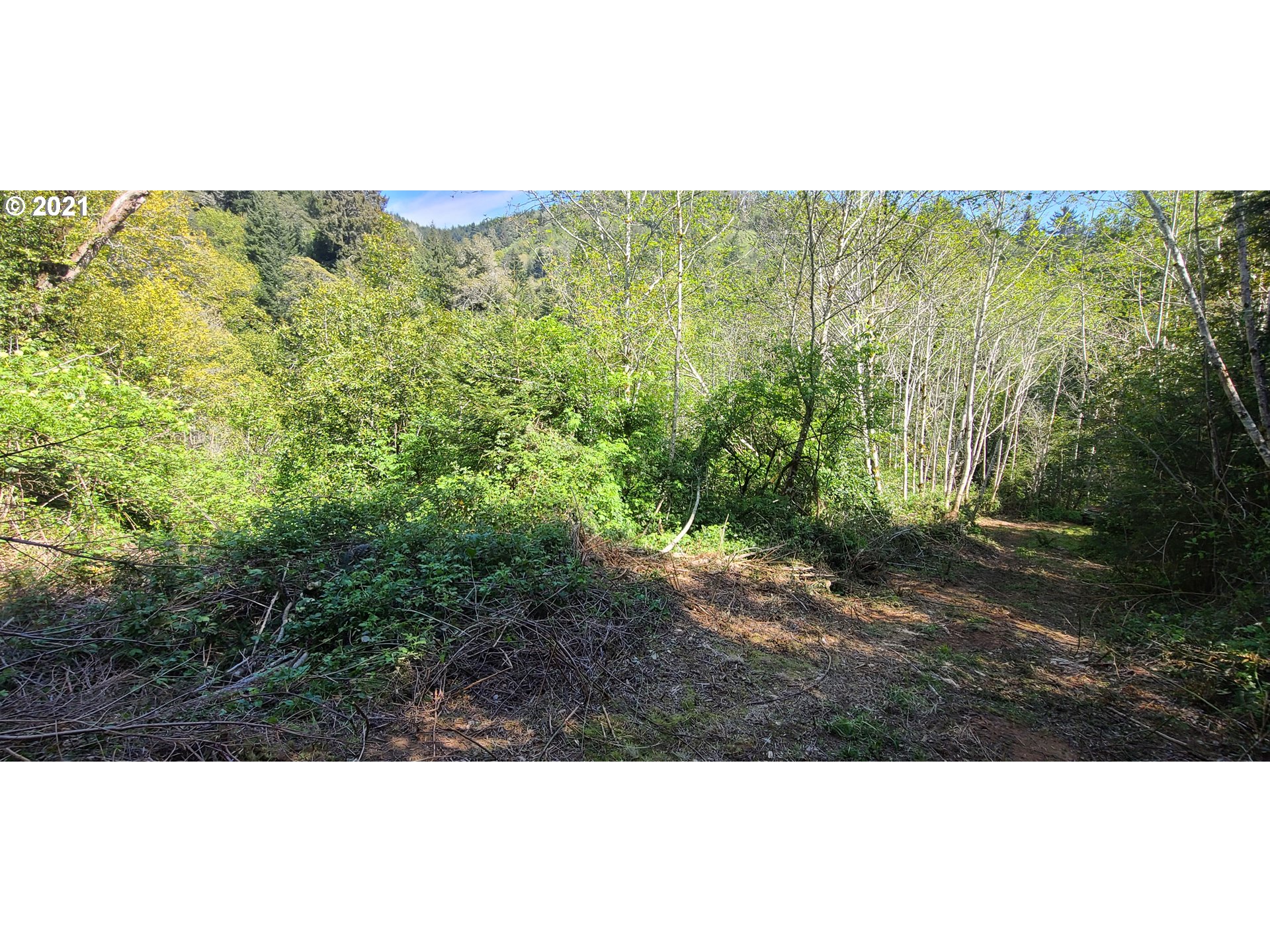 Coy Creek Road, Unit 608 Gold Beach, OR 97444 - Photo 9 of 30 Gallery Image 9