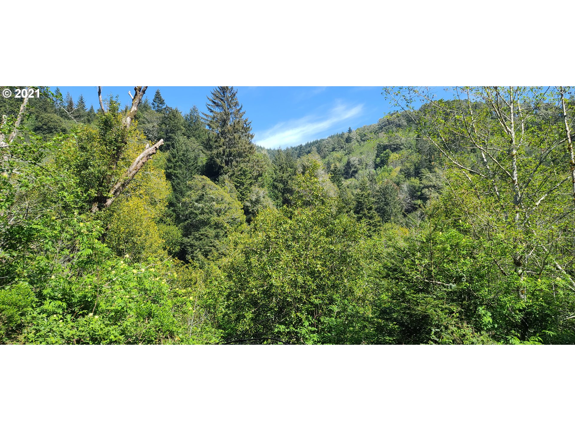 Coy Creek Road, Unit 608 Gold Beach, OR 97444 - Photo 10 of 30 Gallery Image 10