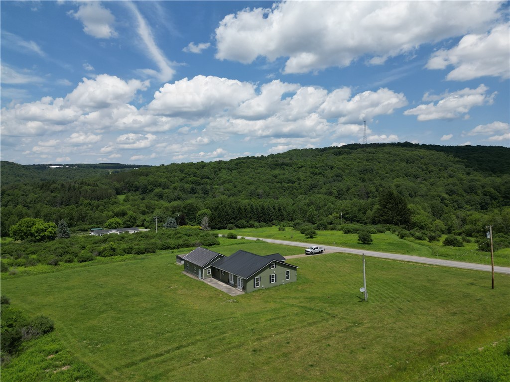 797 Snow Road Independence, NY 14897 - Photo 3 of 28