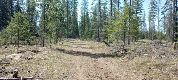 $129,900 | 151-xx East Oregon Road, Unit PARCEL 49111 9068, Elk, WA 99009