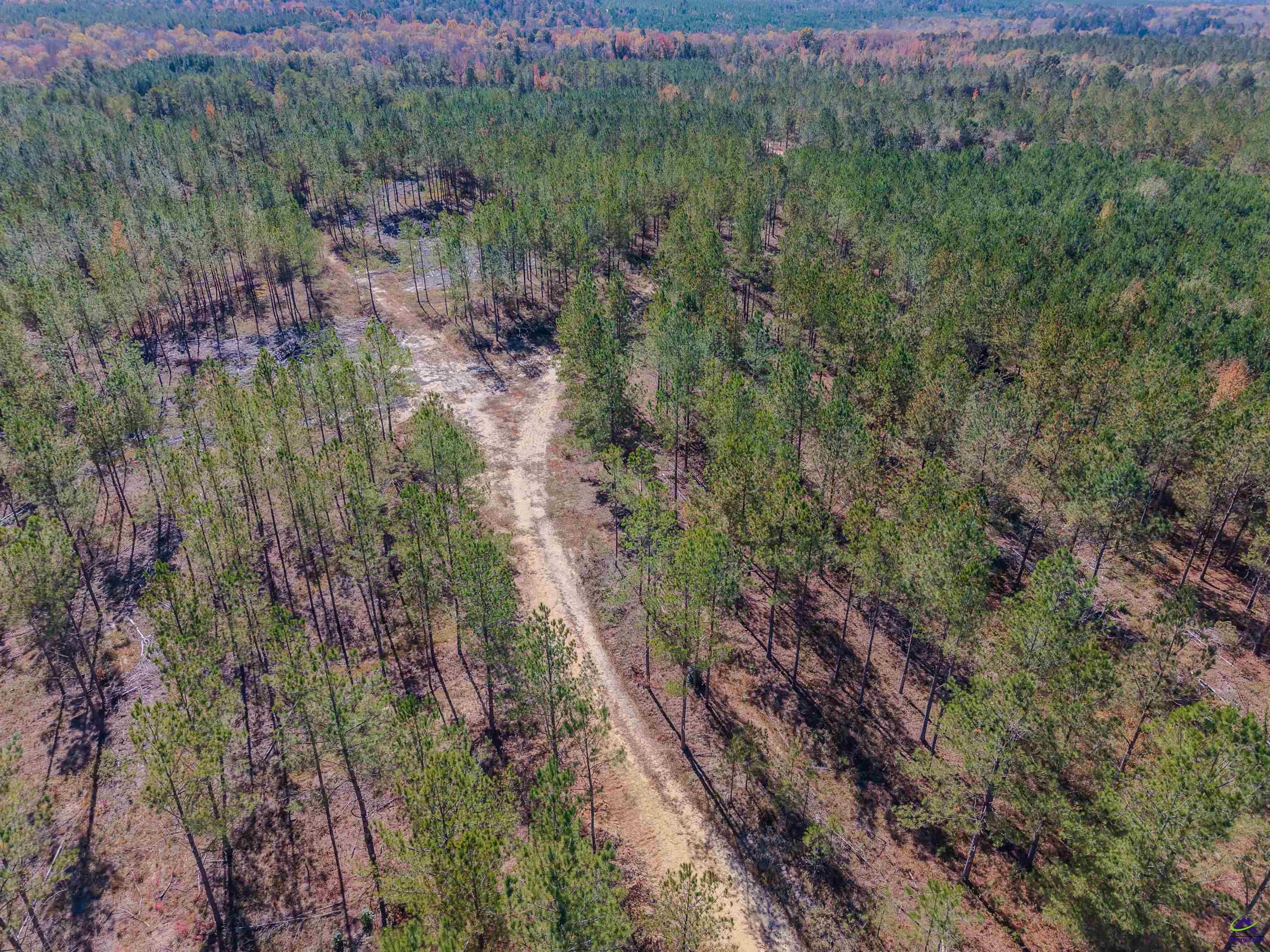 1446 Avera Road Roberta, GA 31078 - Photo 12 of 33