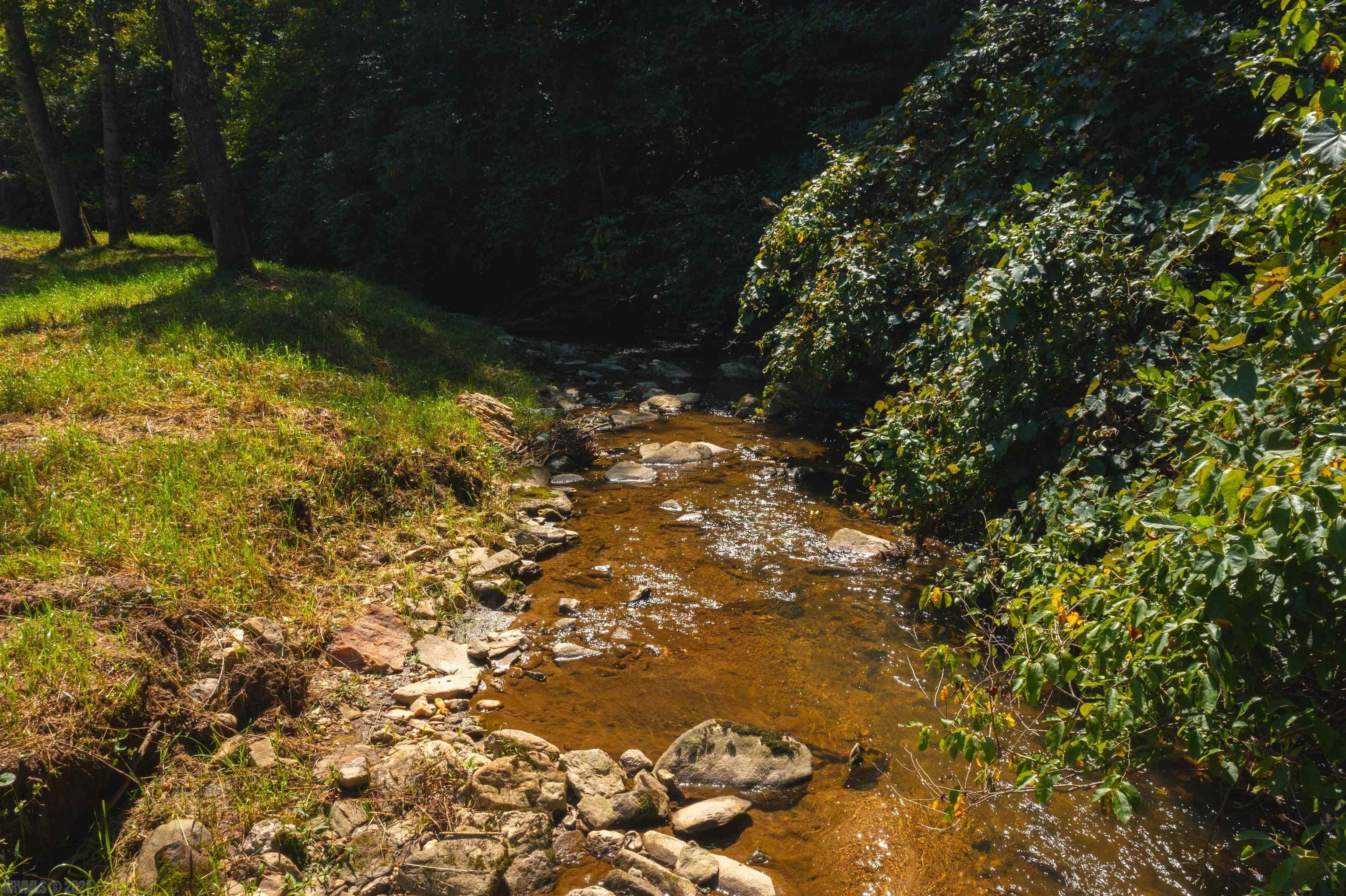 Tbd Beaver Creek Road Northwest Floyd, VA 24091 - Photo 27 of 34 Gallery Image 27