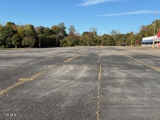 354 Shadowtown Road, Unit 2 Blountville, TN 37617 - Photo 9 of 9 IMG_1895