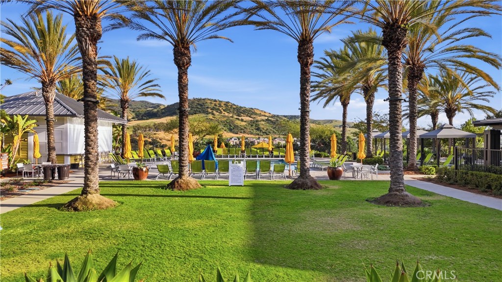 77 Adelfa Street Rancho Mission Viejo, CA 92694 - Photo 46 of 64 Walk around the corner to this! Just one of the many amenity pools! Club house, barbecues, bar and cabanas jacuzzi!