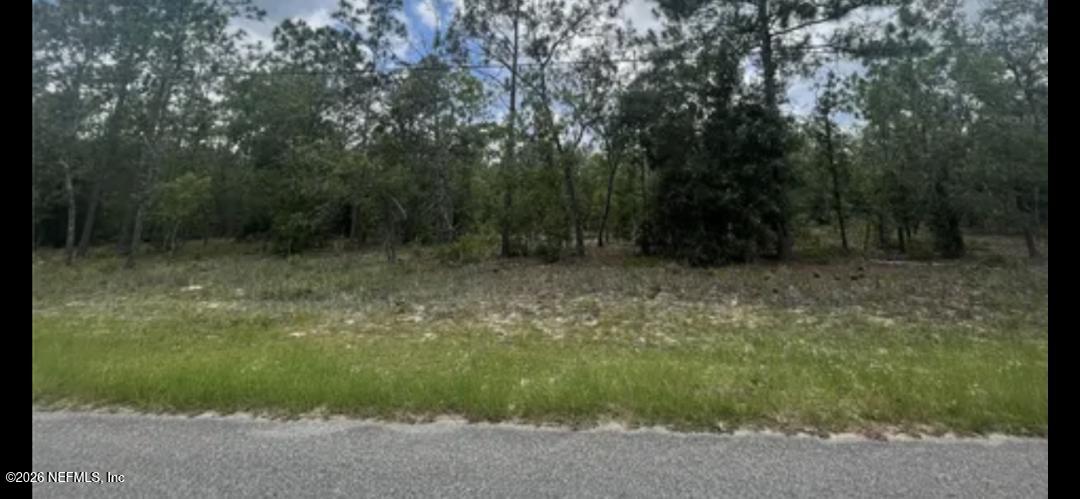 7154 Wesleyan Road Keystone Heights, FL 32656 - Photo 2 of 2 7154 Wesleyan Road #2