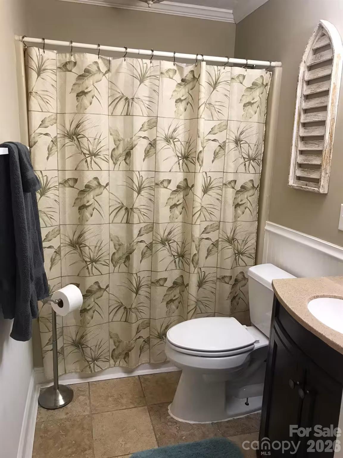 73 Pine Road Rosman, NC 28772 - Photo 26 of 45 a white toilet sitting next to a shower curtain and a sink