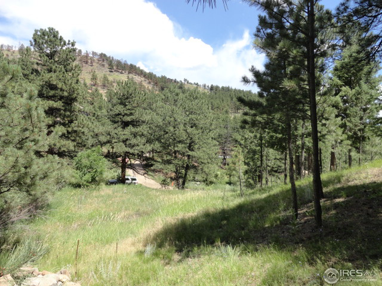 375 Arroyo Chico Boulder, CO 80302 - Photo 11 of 15 a view of a lush green forest with lots of trees