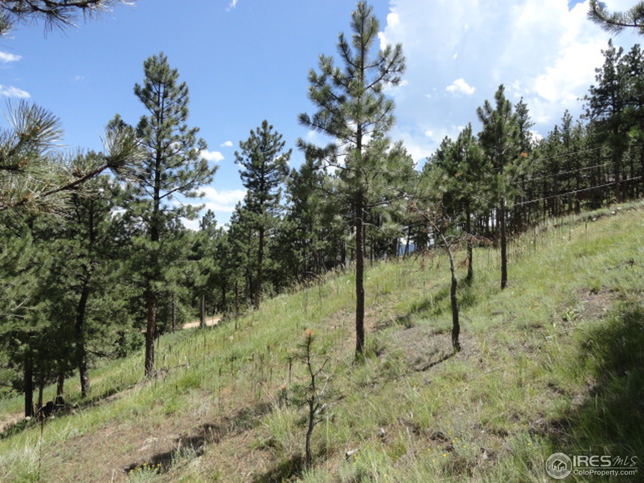 375 Arroyo Chico Boulder, CO 80302 - Photo 12 of 15 a view of an outdoor space