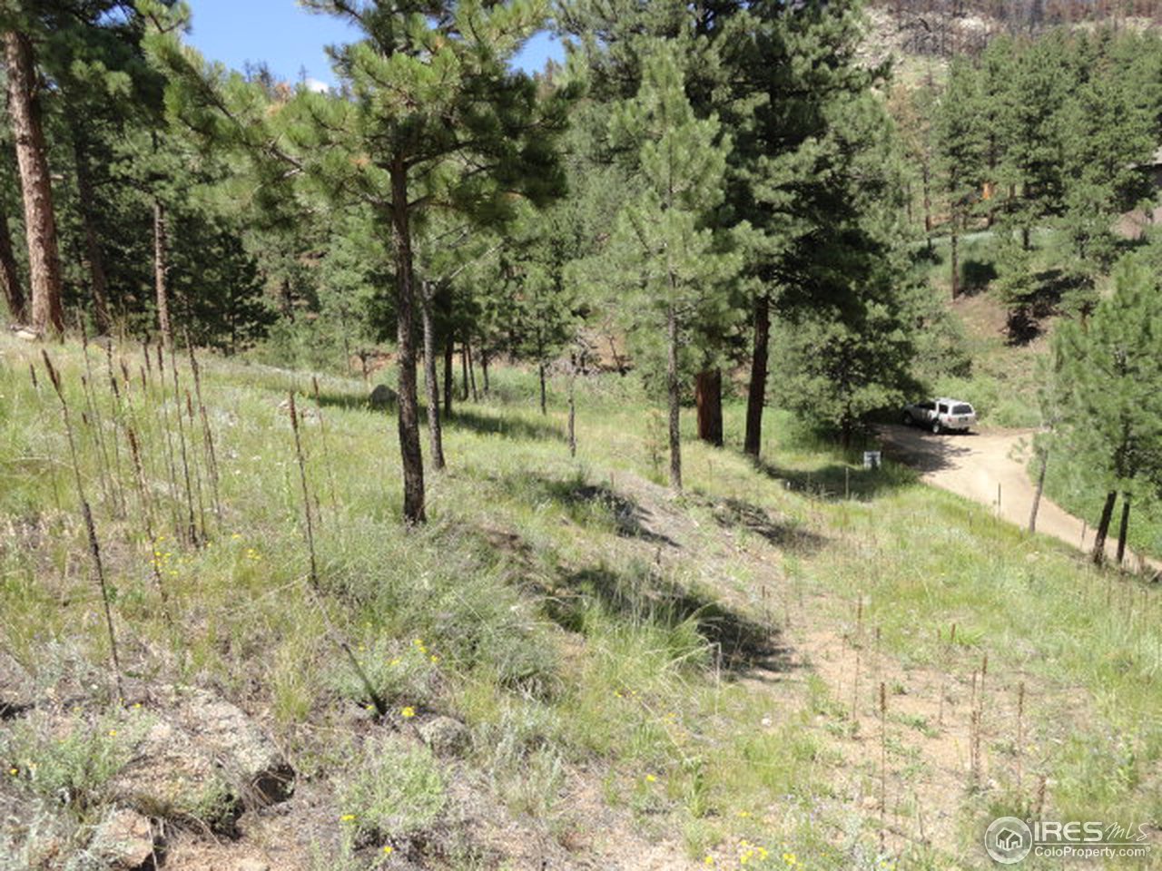 375 Arroyo Chico Boulder, CO 80302 - Photo 13 of 15 a view of outdoor space and trees