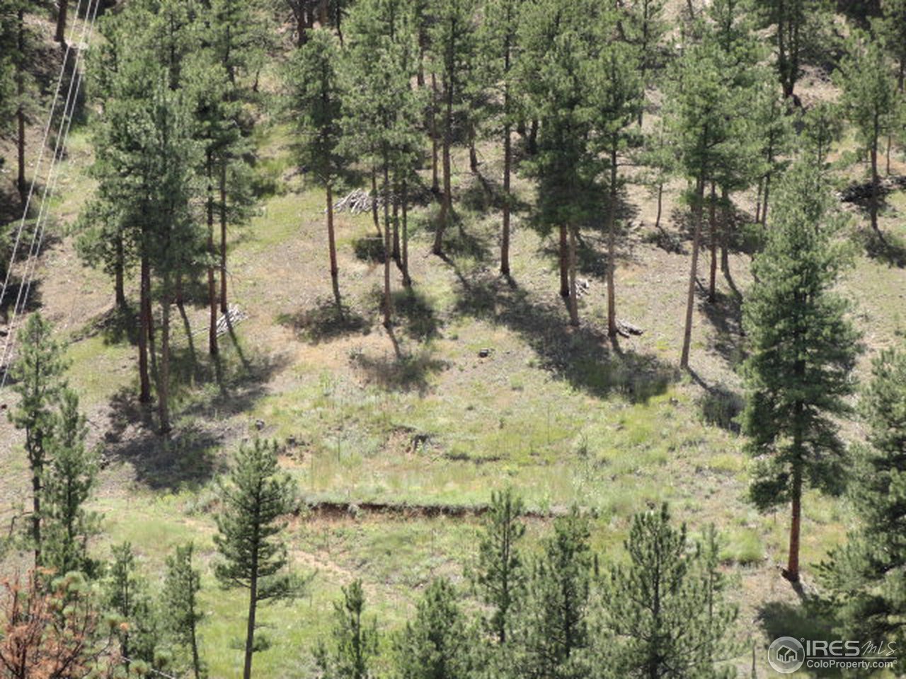 375 Arroyo Chico Boulder, CO 80302 - Photo 14 of 15 a view of yard