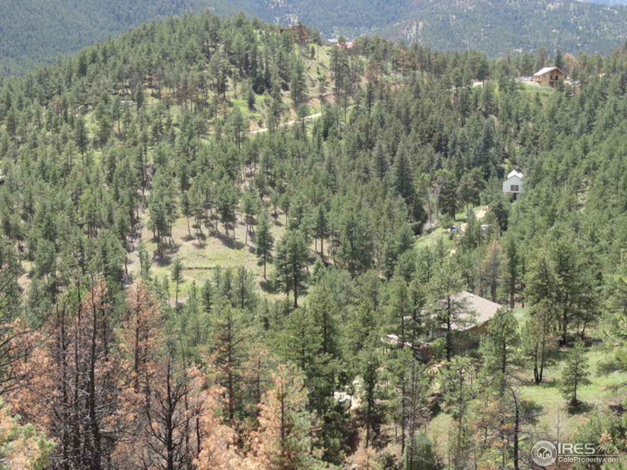 375 Arroyo Chico Boulder, CO 80302 - Photo 4 of 15 a view of a bunch of trees