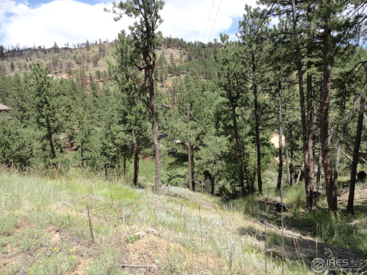 375 Arroyo Chico Boulder, CO 80302 - Photo 5 of 15 a view of a forest with a tree