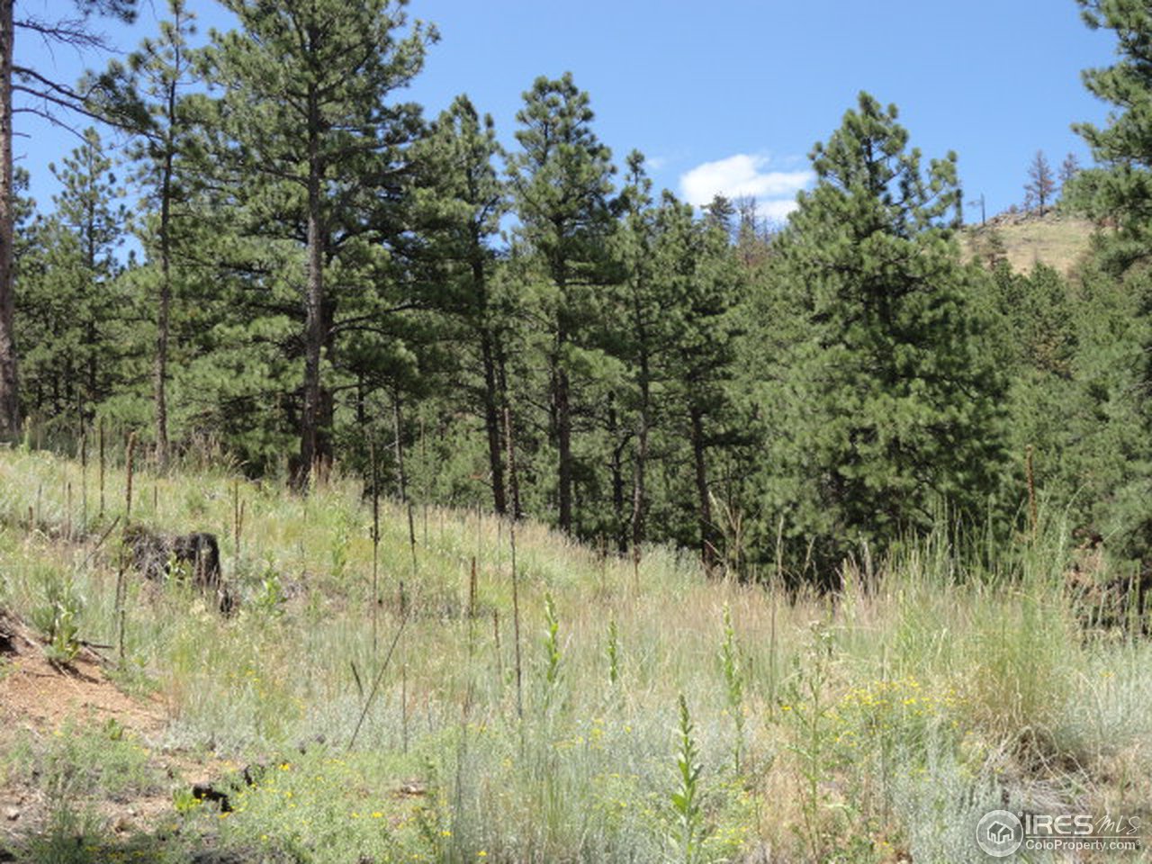 375 Arroyo Chico Boulder, CO 80302 - Photo 7 of 15 a view of a garden