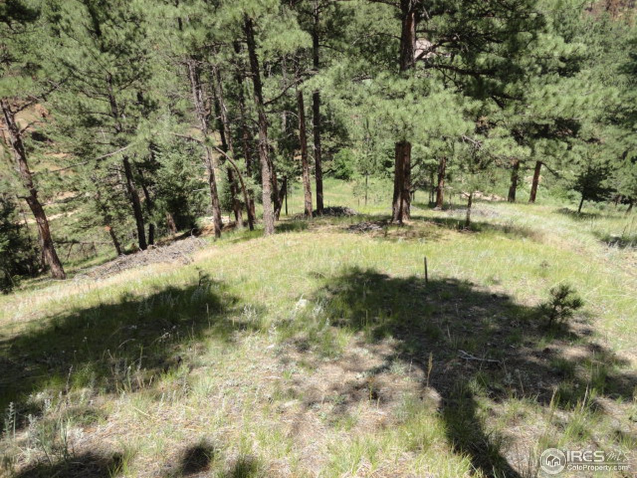 375 Arroyo Chico Boulder, CO 80302 - Photo 10 of 15 a view of yard