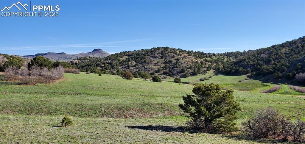 0 Cap Rock Road Canon City, CO 81212 - Photo 11 of 24