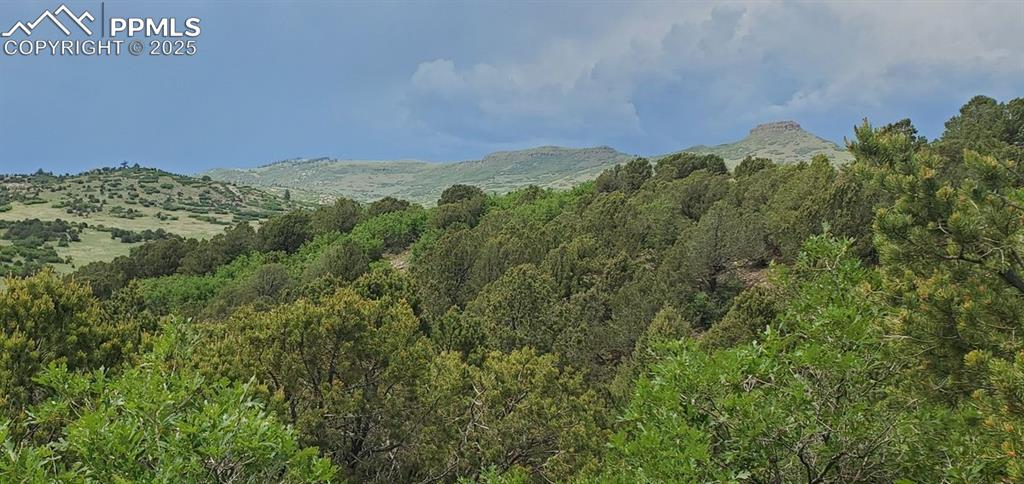 0 Cap Rock Road Canon City, CO 81212 - Photo 14 of 24